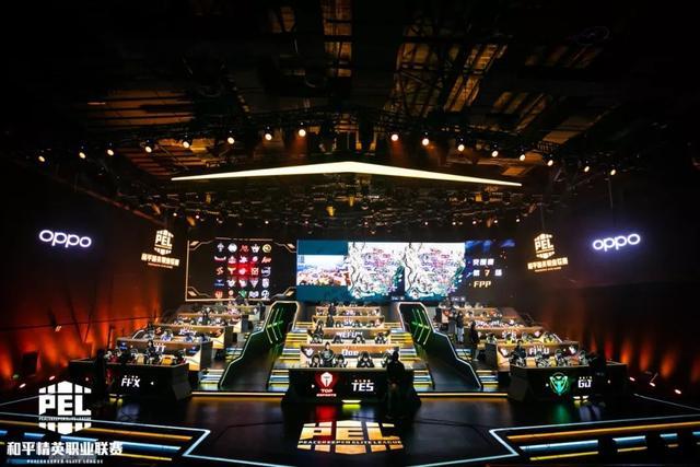 他们的共同 他们的共同